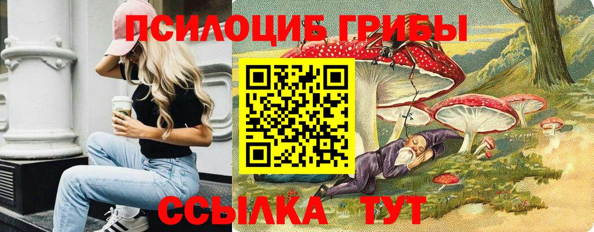 Сегежа  Галлюциногенные грибы мухоморы  Вход с VPN  Галлюциногенные грибы ЛСД 