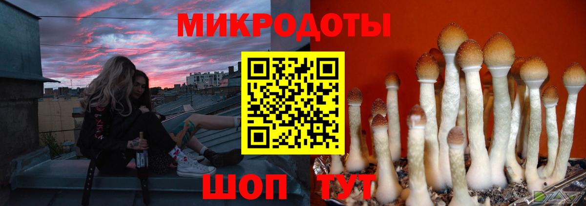 Галлюциногенные грибы ЛСД Сегежа
